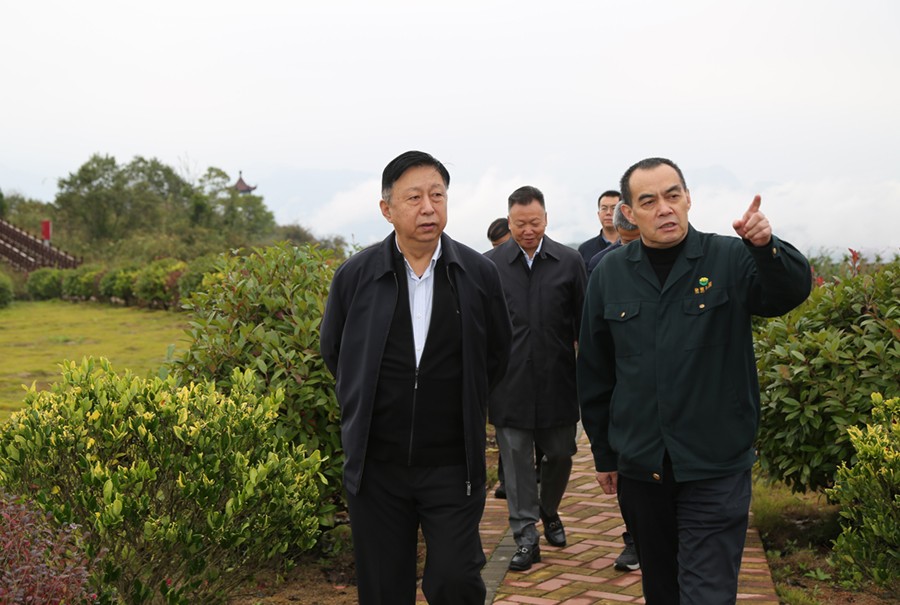 19-2021年10月，原國(guó)土資源部副部長(zhǎng)汪民蒞臨公司調(diào)研。.jpg