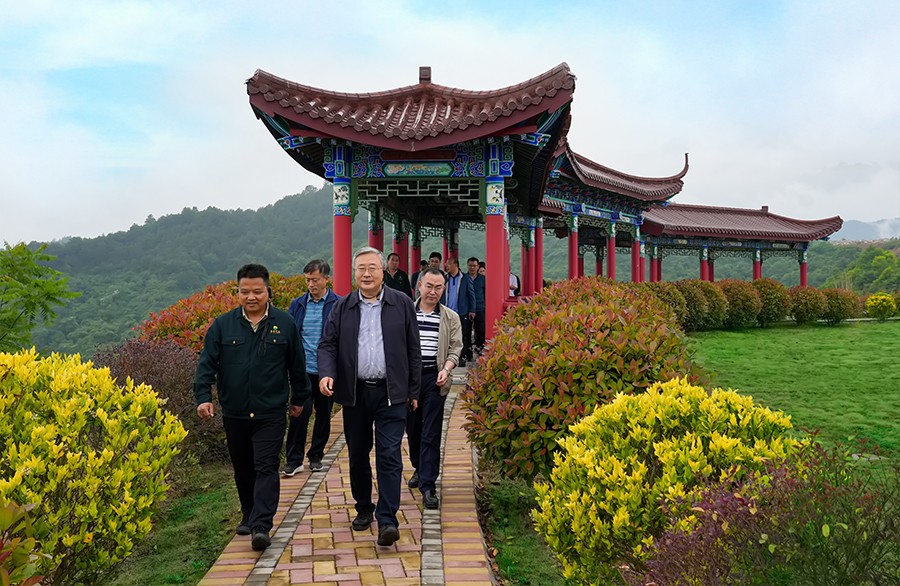 49-2022年5月，省工信廳副廳長(zhǎng)王海峰一行蒞臨金徽股份調(diào)研綠色礦山建設(shè)工作。.jpg