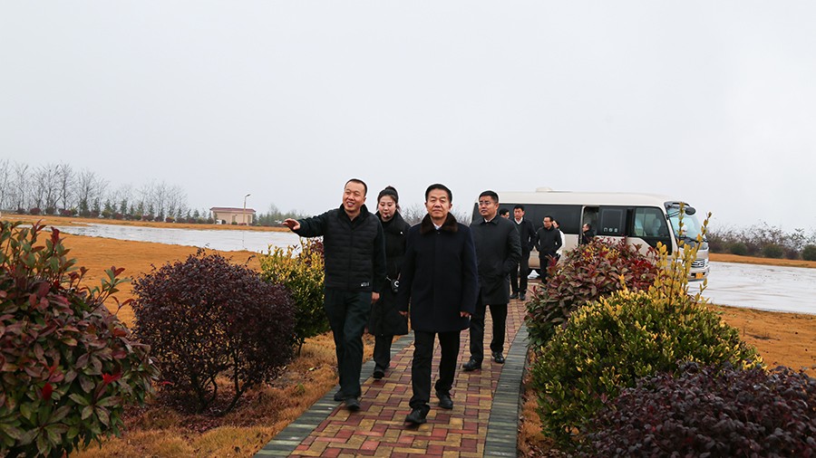 45-2020年12月，省高級(jí)人民法院黨組成員、副院長(zhǎng)任建國(guó)蒞臨金徽股份調(diào)研知識(shí)產(chǎn)權(quán)司法保護(hù)工作。.jpg